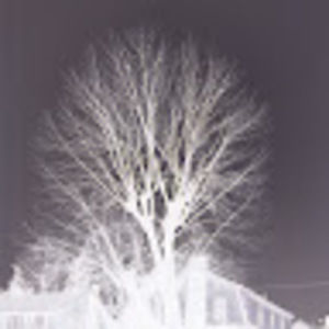 Meet your Posher, Brady